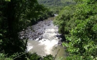 Apremavi e ADM pedem indeferimento de PCH em Taió