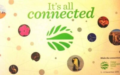 Os Desafios da Restauração