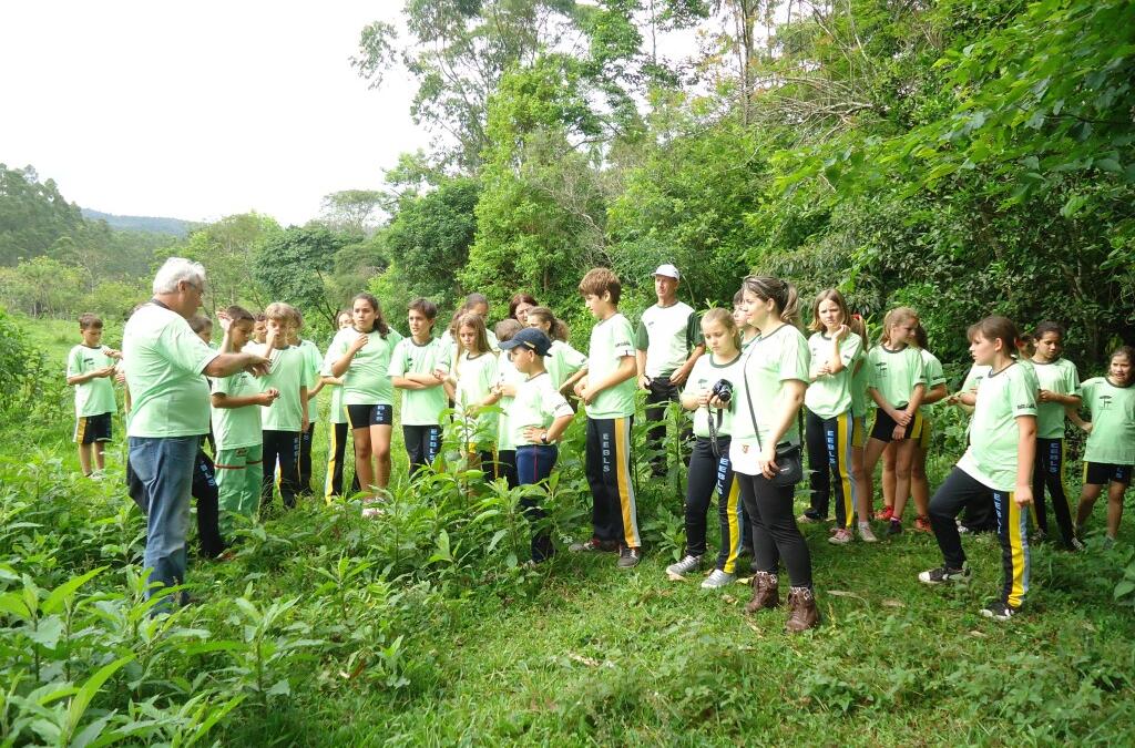 Projeto Araucária desenvolve ações de educação ambiental