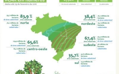 Coalizão é contra prorrogação para inscrição no CAR