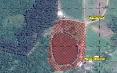 Ações desenvolvidas na propriedade de Tereza Pereira