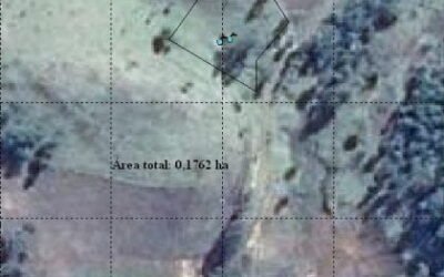 Ações desenvolvidas na propriedade de Vilmar Cecatto