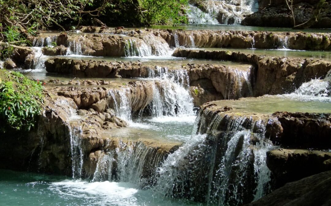 Apremavi integra Comitês de Bacias Hidrográficas de SC