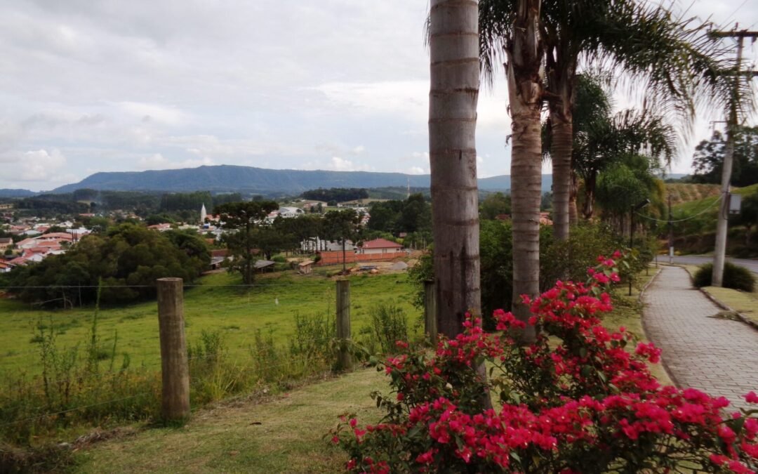 Atalanta se orgulha da Apremavi