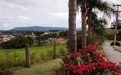 Atalanta se orgulha da Apremavi