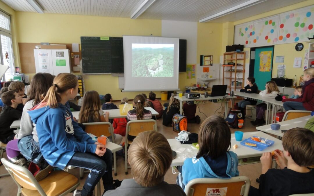 A importância das parcerias para a preservação