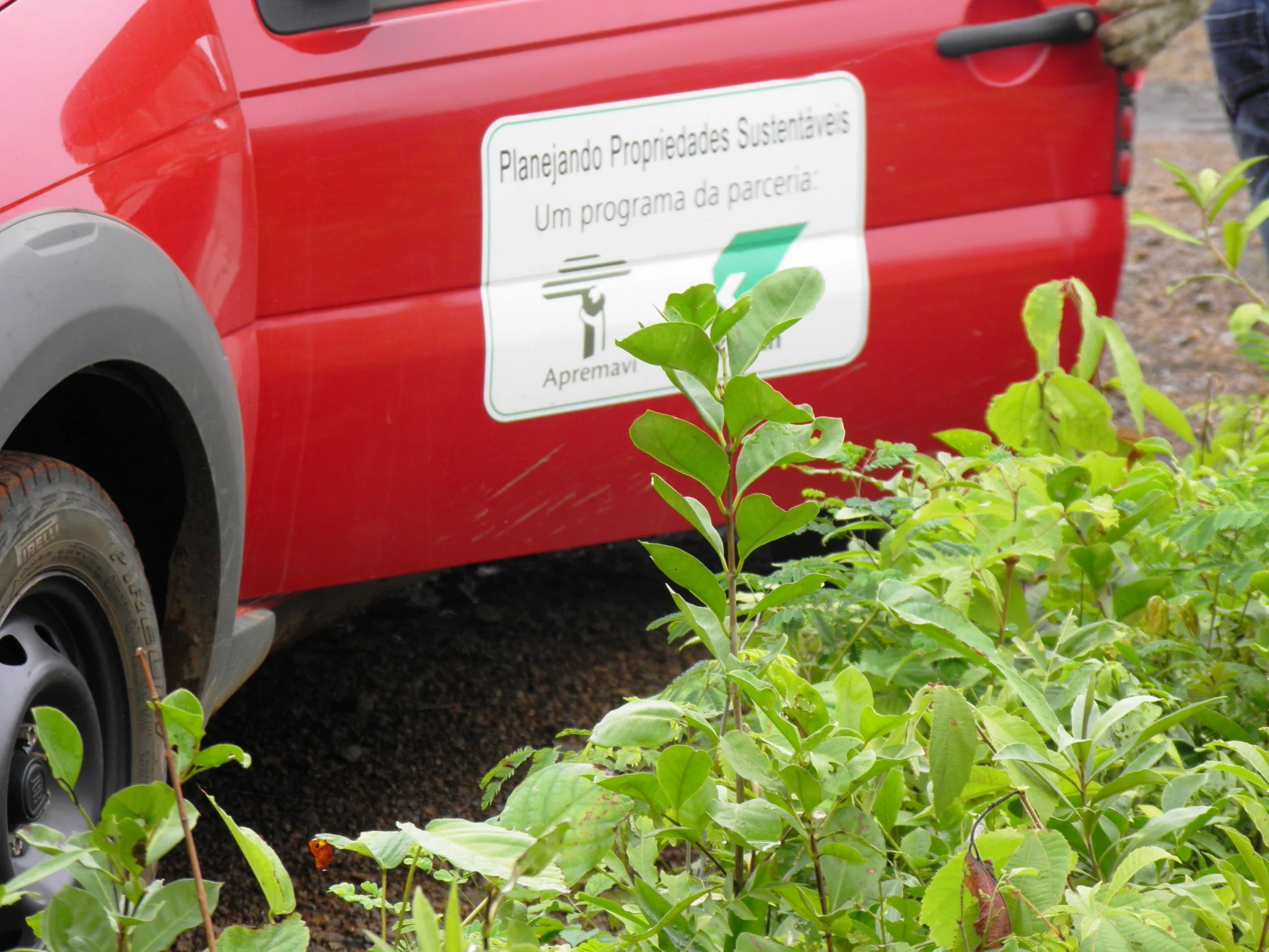 Projeto Matas Sociais.