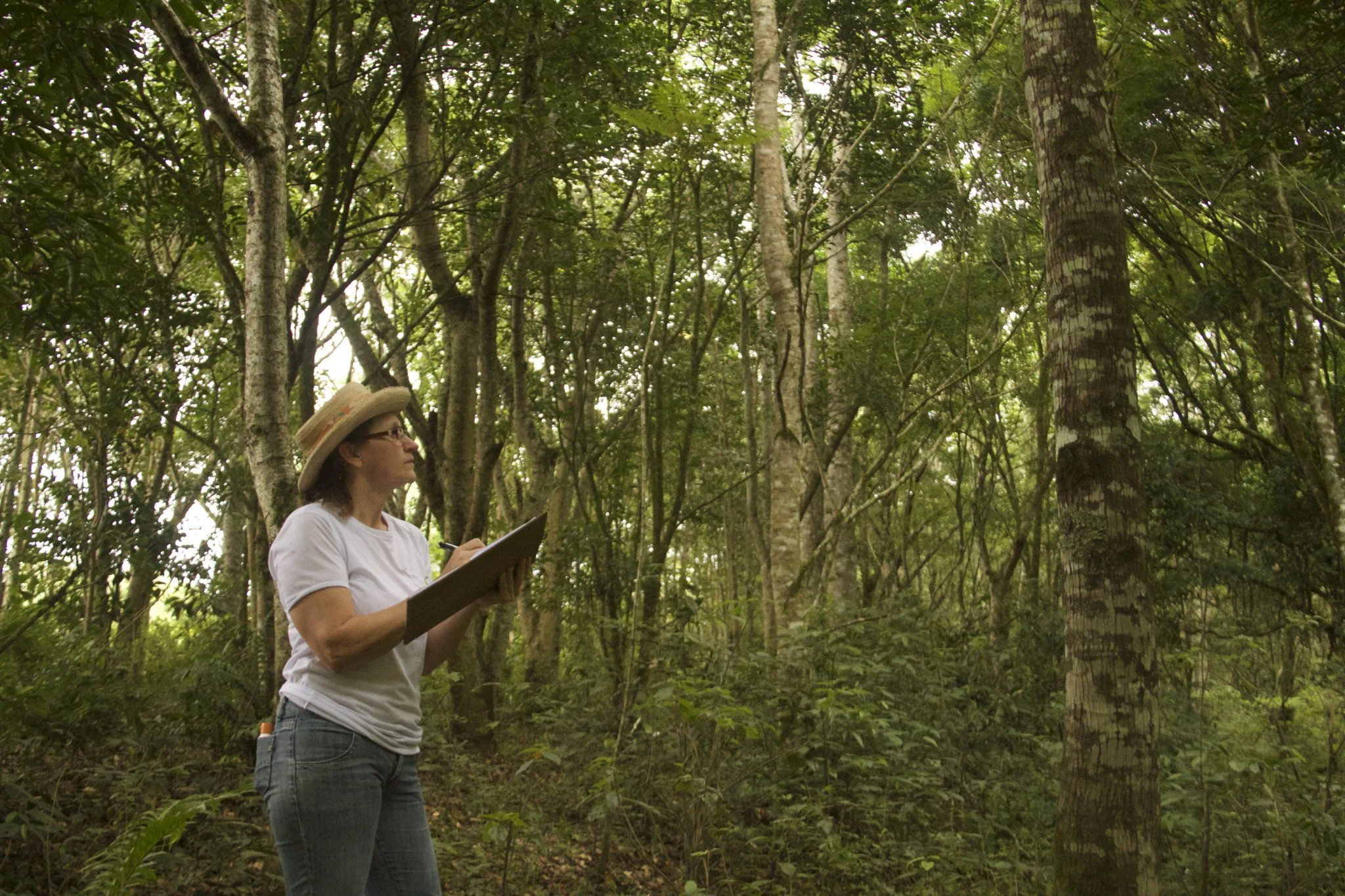 PSA Carbono Alto Vale