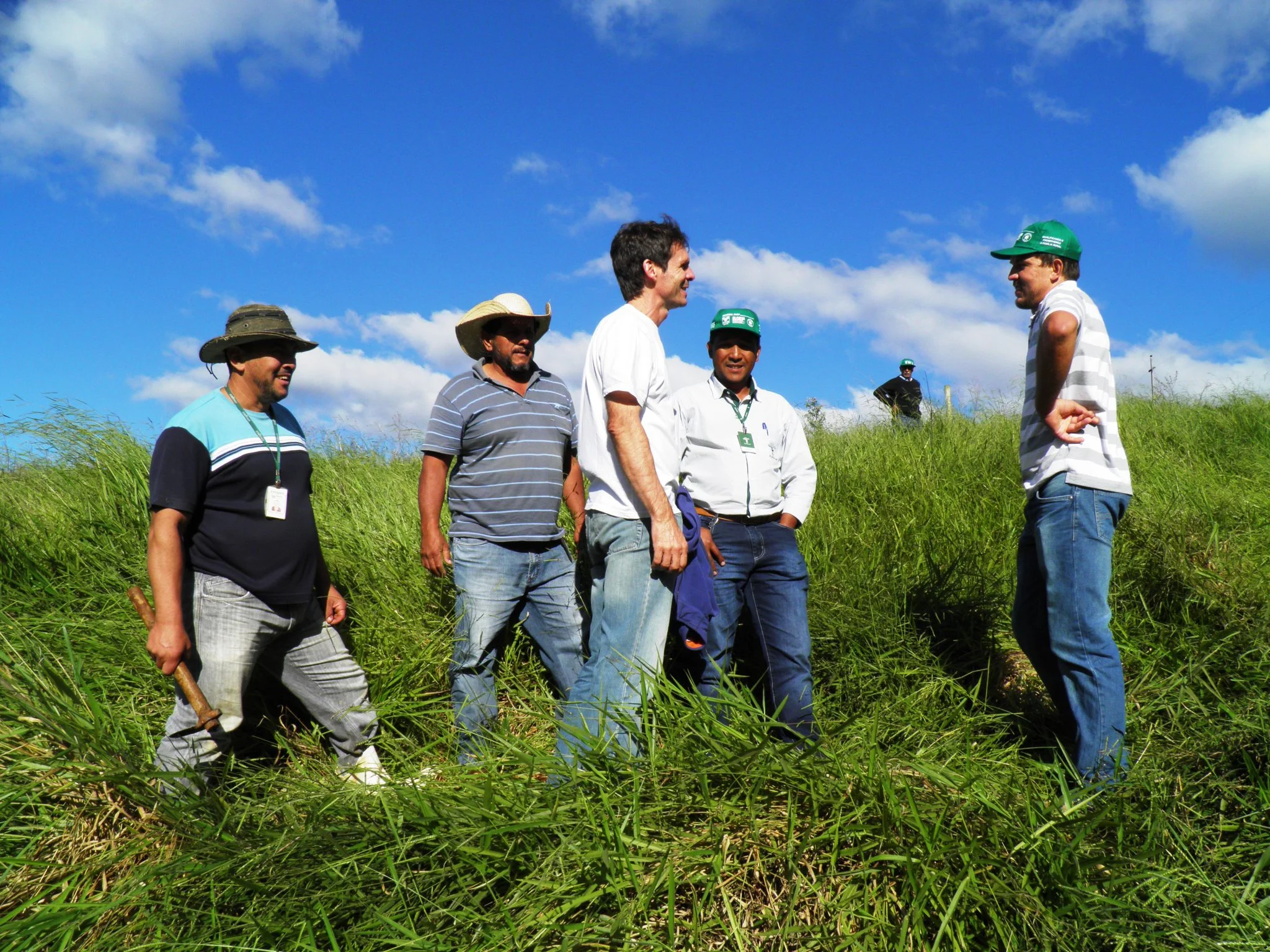 Projeto Matas Sociais.