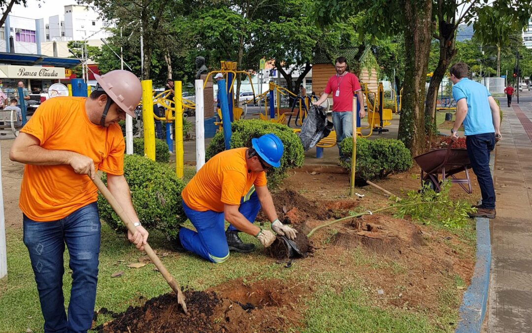 Apremavi ajuda a arborizar praça central em Rio do Sul