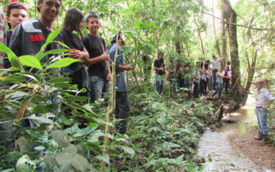 Matas Legais recupera nascentes e leva alunos para visitar áreas restauradas