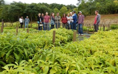 Restaura Alto Vale realiza dia de campo sobre agricultura orgânica e restauração florestal