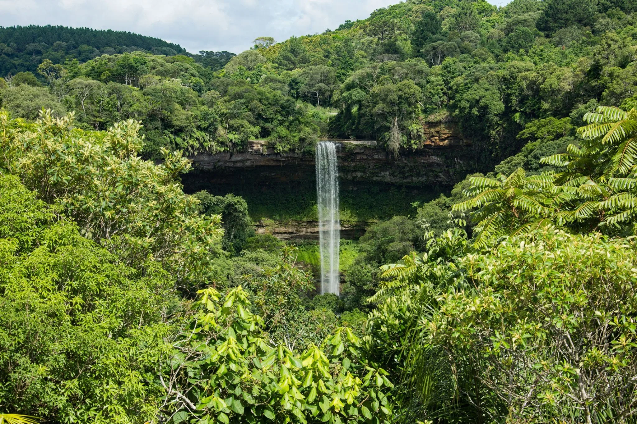 Parque Natural Municipal da Mata Atlântica em Atalanta (SC)