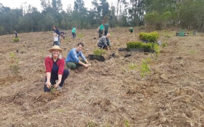 Plantio de bosque celebra parceria da Apremavi com a Ellepot