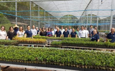 Equipe de sustentabilidade da Klabin visita a Apremavi e reforça parceria que completa 15 anos