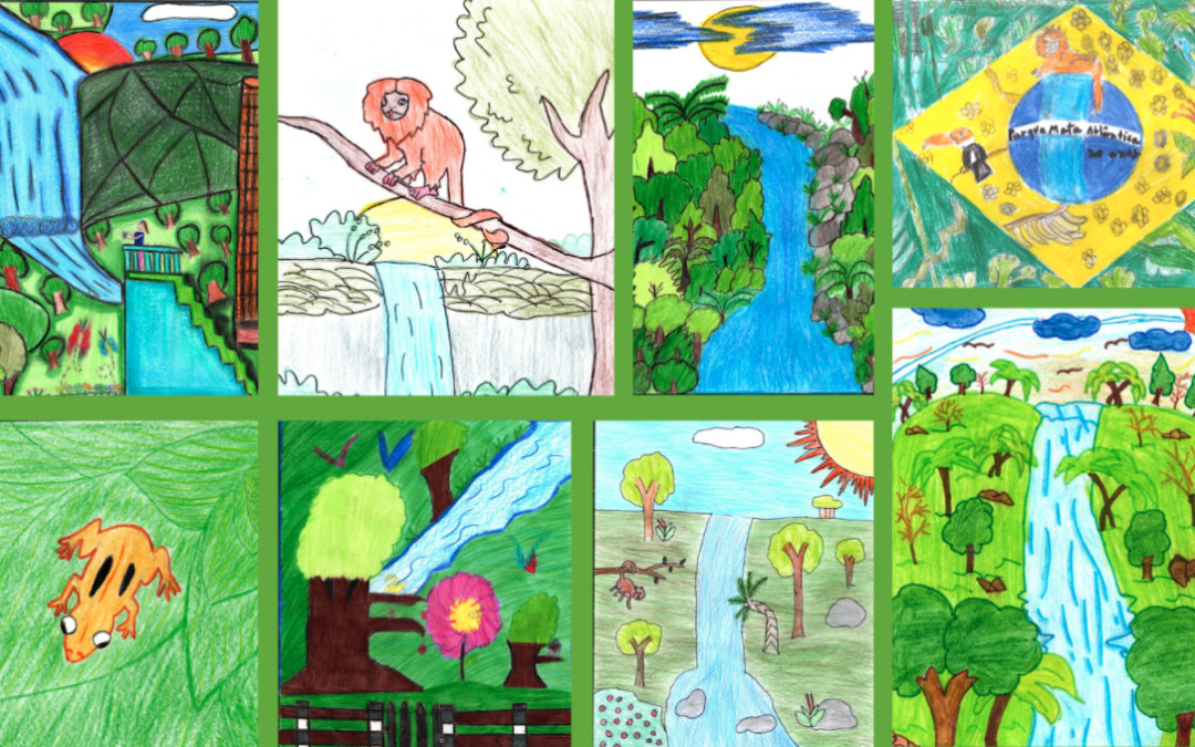 Apremavi divulga os vencedores do Concurso de Desenho “Parque Mata Atlântica 20 Anos”