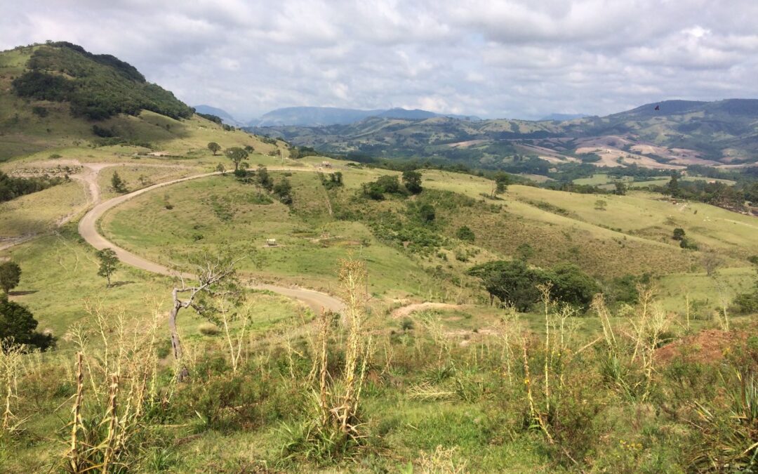 Programa Matas Sociais ajuda a restaurar mais 8 hectares em Sapopema (PR)