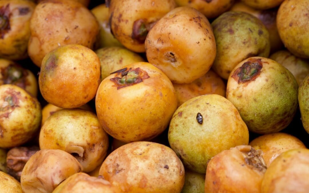 Butiá, garantia de sabor e diversão