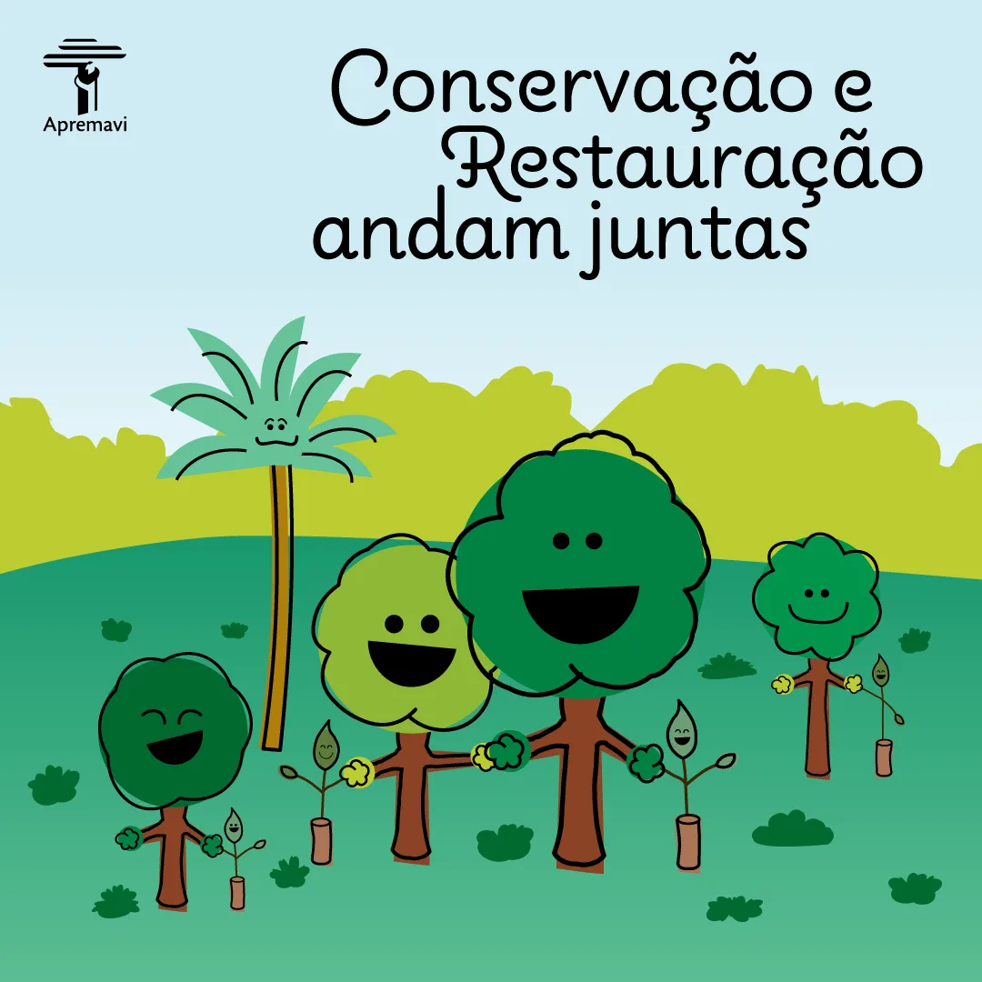 Conservação e Restauração andam juntas