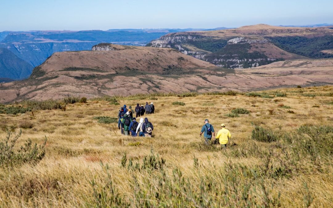 São Joaquim é Sagrado: campanha chama atenção para a importância do Parque