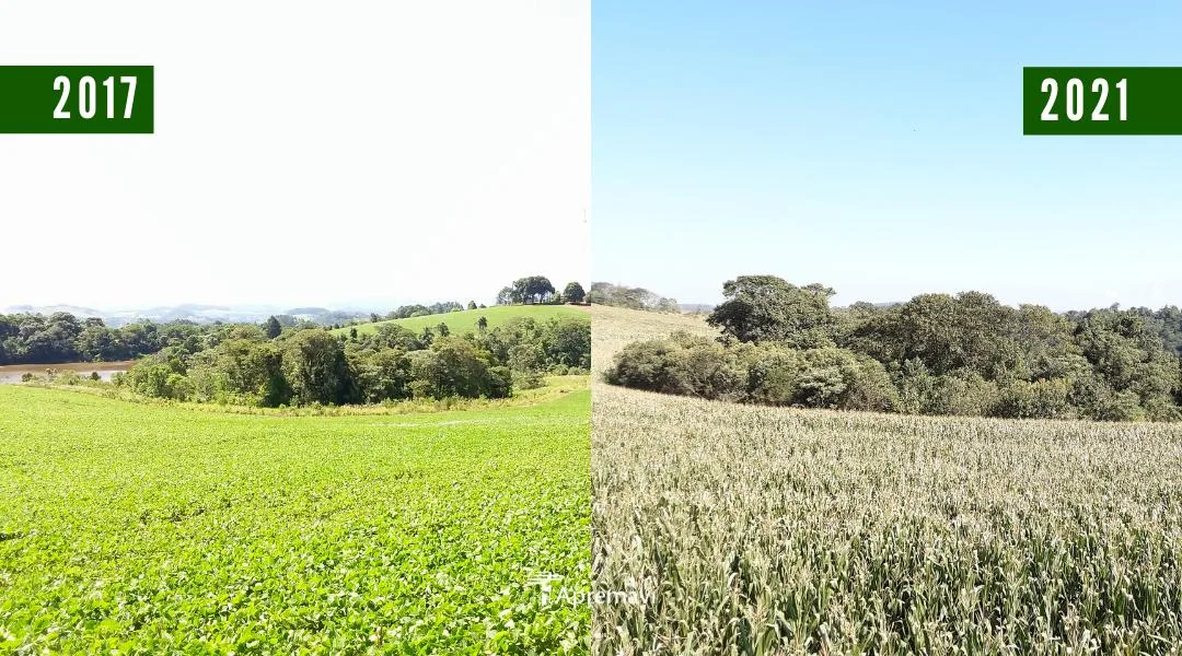 Antes e depois Matas Sociais