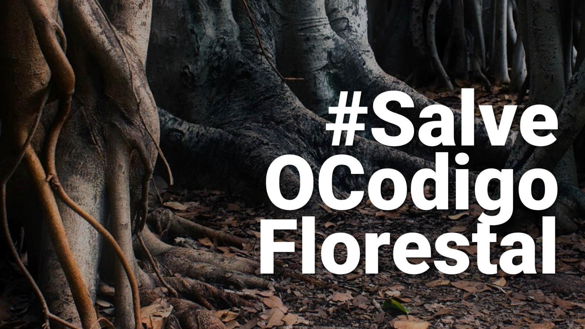 Código Florestal