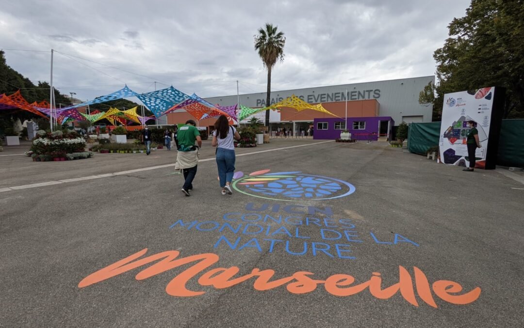 Brazil Matters: Carta do Comitê Brasileiro é entregue durante Congresso Mundial da IUCN