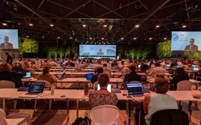 Entre o Congresso Mundial de Conservação da Natureza e a COP26 do Clima: expectativas e resultados