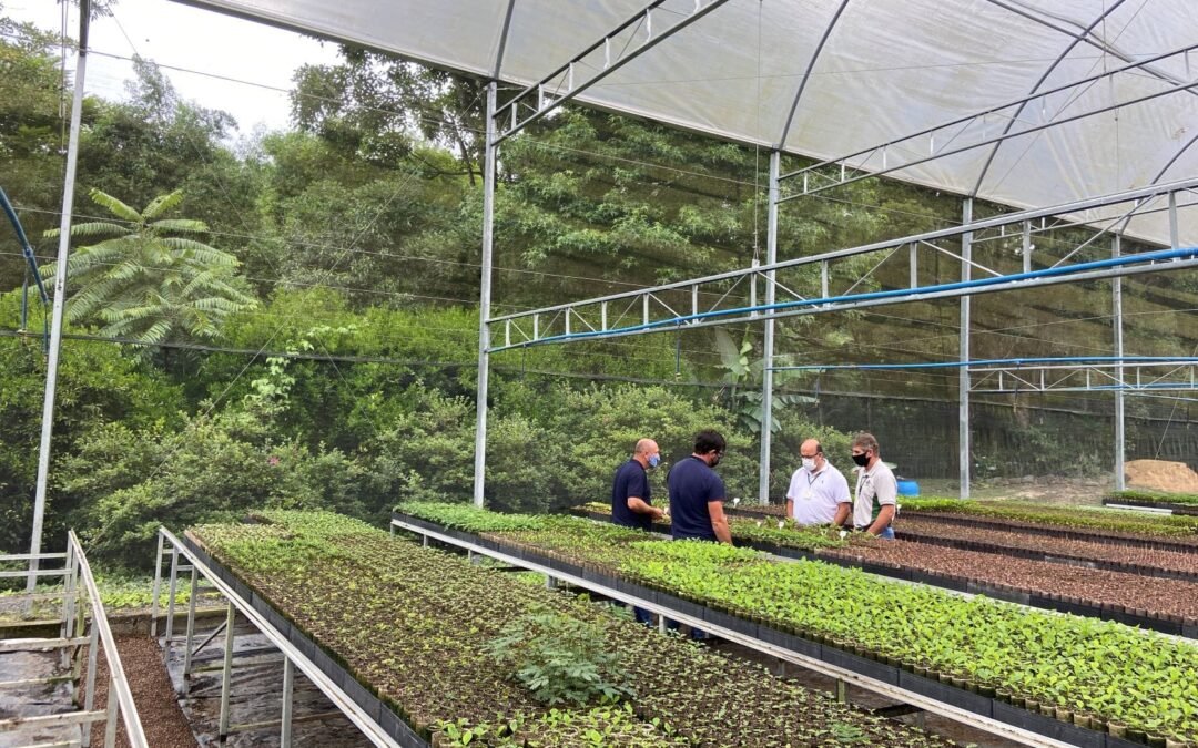 320ha restaurados: encontro celebra conclusão do Restaura Alto Vale