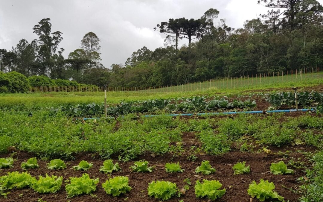 PL do Veneno é aprovado na Câmara