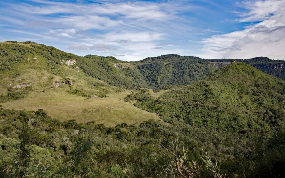 ONGs ambientalistas publicam análise do Projeto que pretende alterar normas para o Parcelamento de Solo para fins urbanos em Urubici