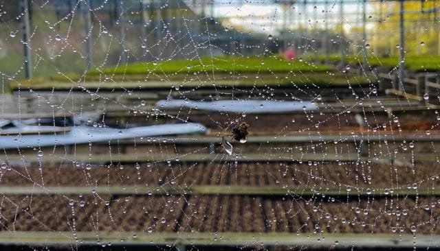 Projeto da UE contra desmate importado precisa de ajustes, diz OC