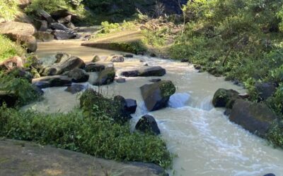 10 rios de Santa Catarina estão na lista dos rios mais poluídos do mundo