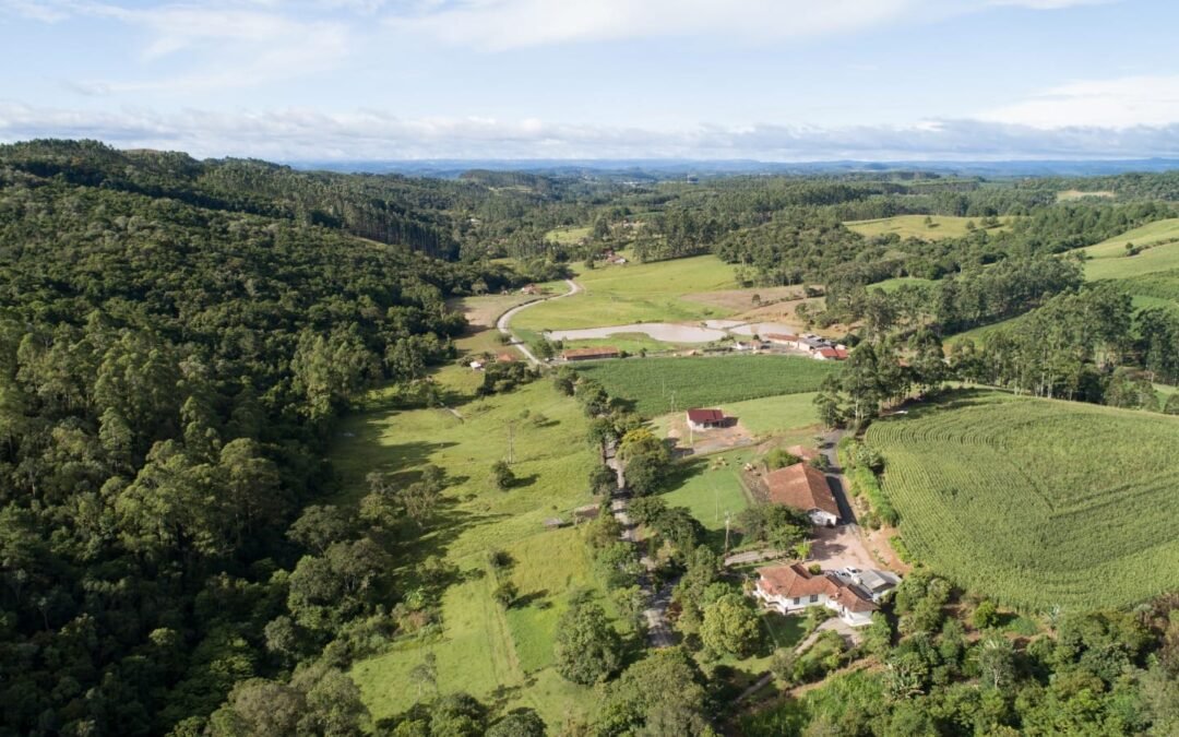 Apremavi lança cartilha sobre planejamento de propriedades em evento do Código+10