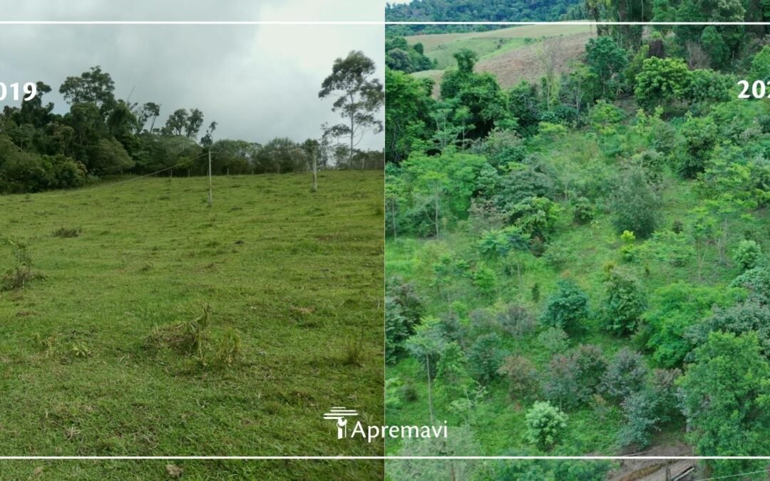 Apremavi apresenta caminhos para a restauração em Salete