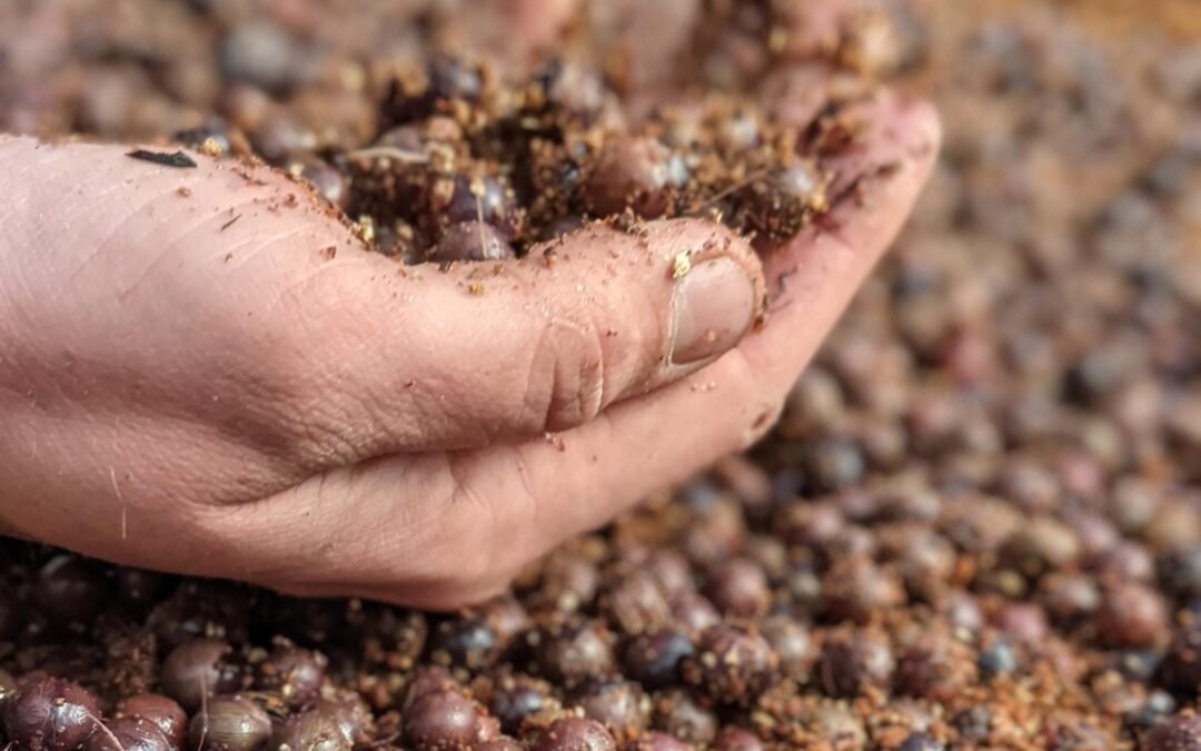 Veja nosso Relatório de Atividades de 2021, um ano para refletir e espalhar sementes