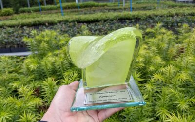 Vencedores do Prêmio Expressão de Ecologia recebem troféu Onda Verde