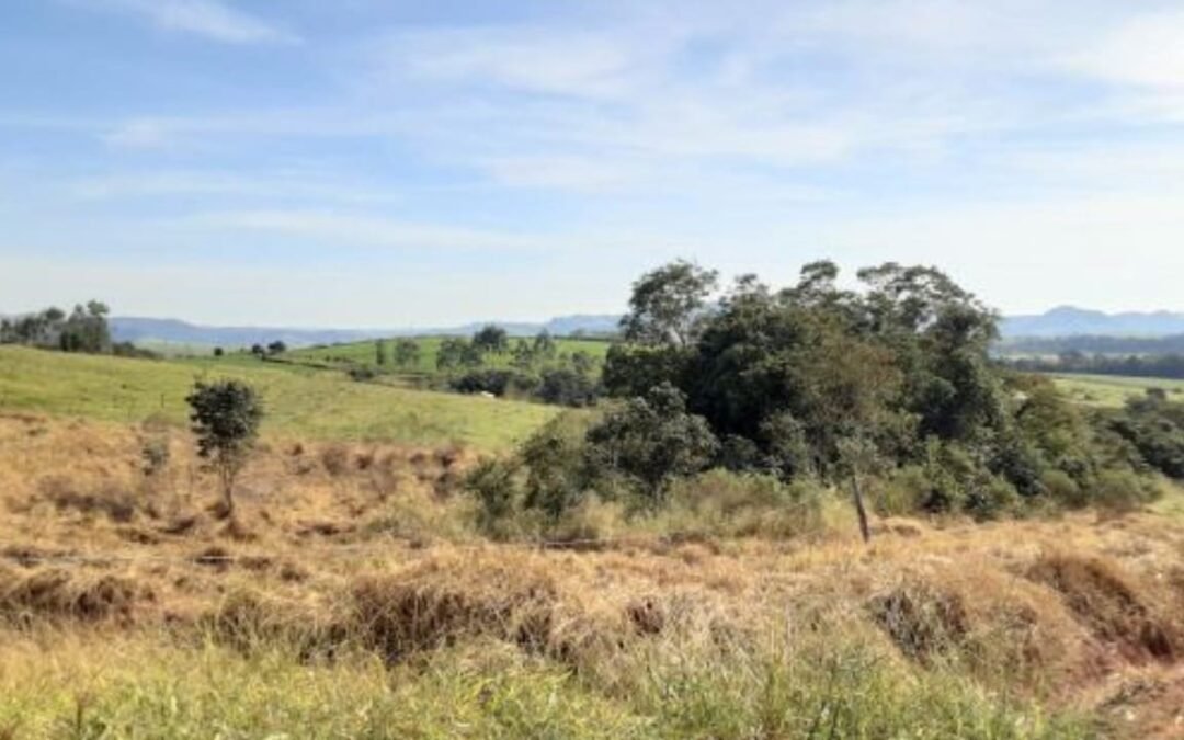 Matas Sociais mobiliza comunidade para a proteção de nascente