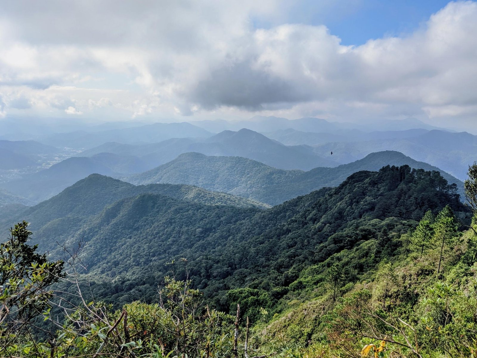 Documentário denuncia ataques sofridos pelo Parque Nacional da Serra do Itajaí Apremavi