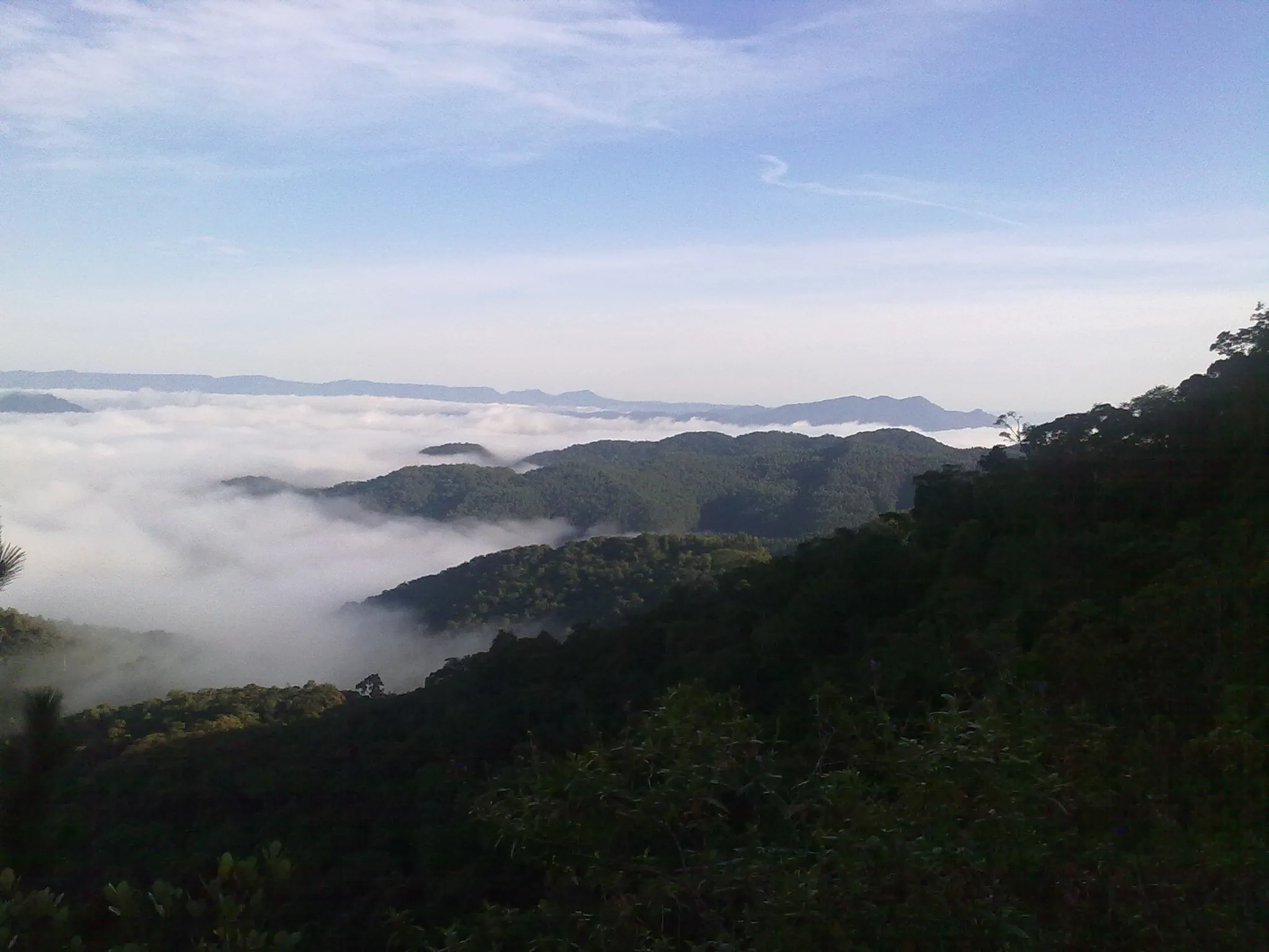 Parque Nacional da Serra do Itajaí. Foto: Cintia Gizele Gruener