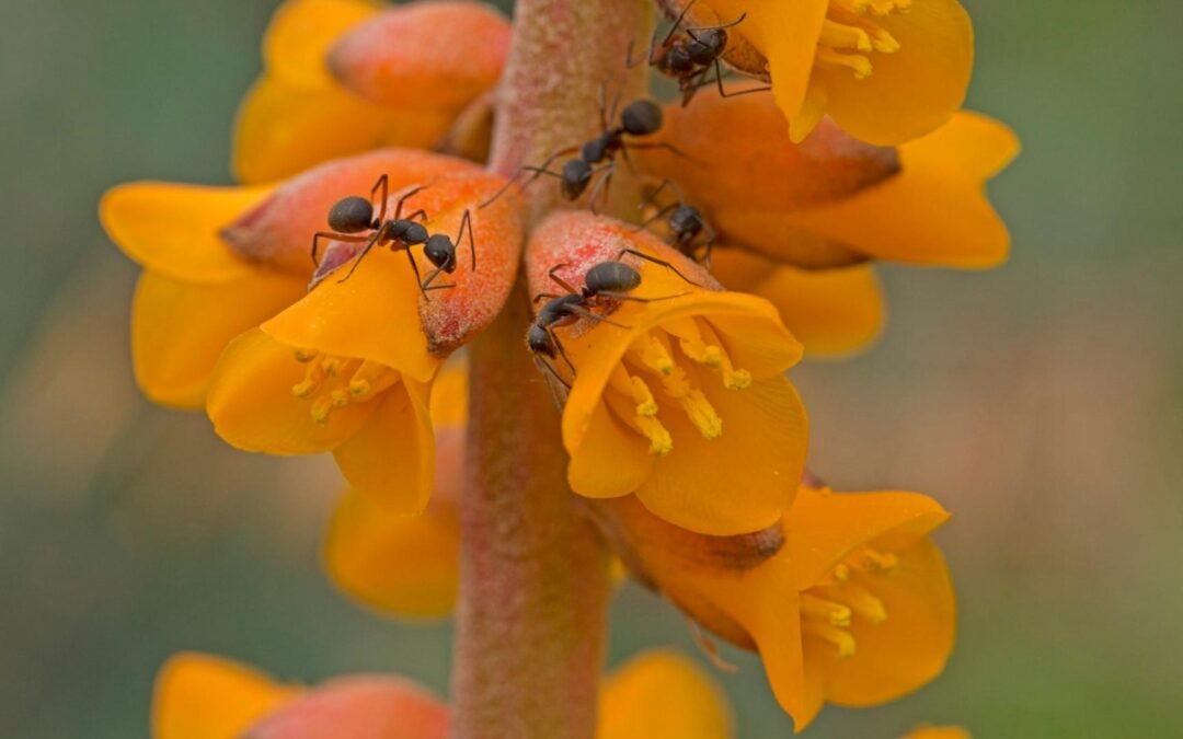 Obrigado por continuar conosco! ♡