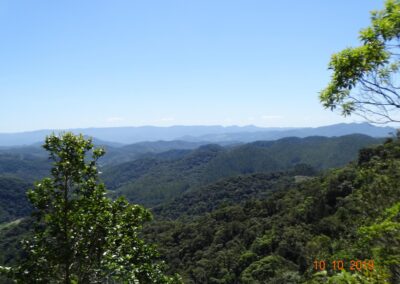 Parque Nacional da Serra do Itajaí. Foto: Cintia Gizele Gruener