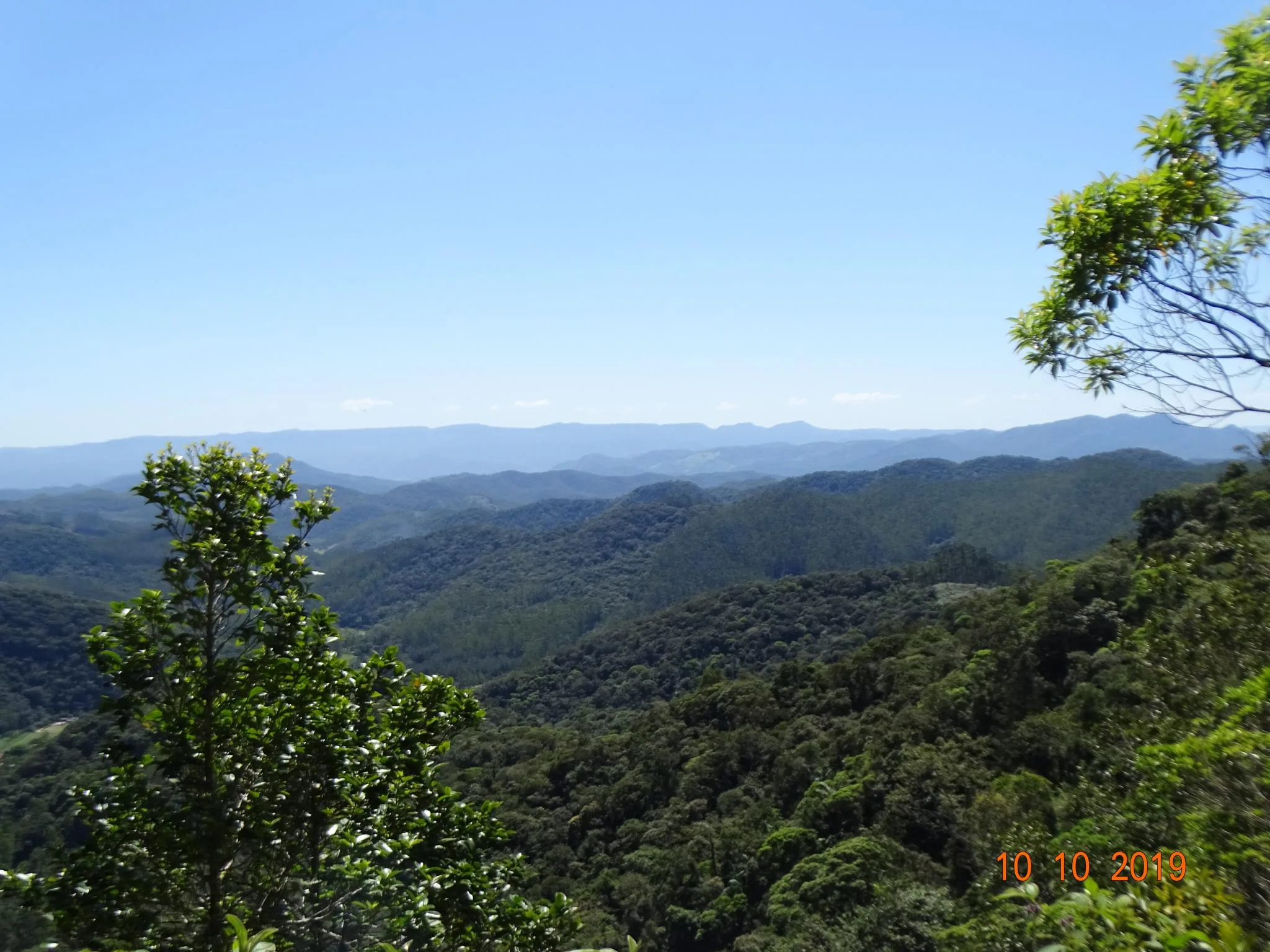 Parque Nacional da Serra do Itajaí. Foto: Cintia Gizele Gruener