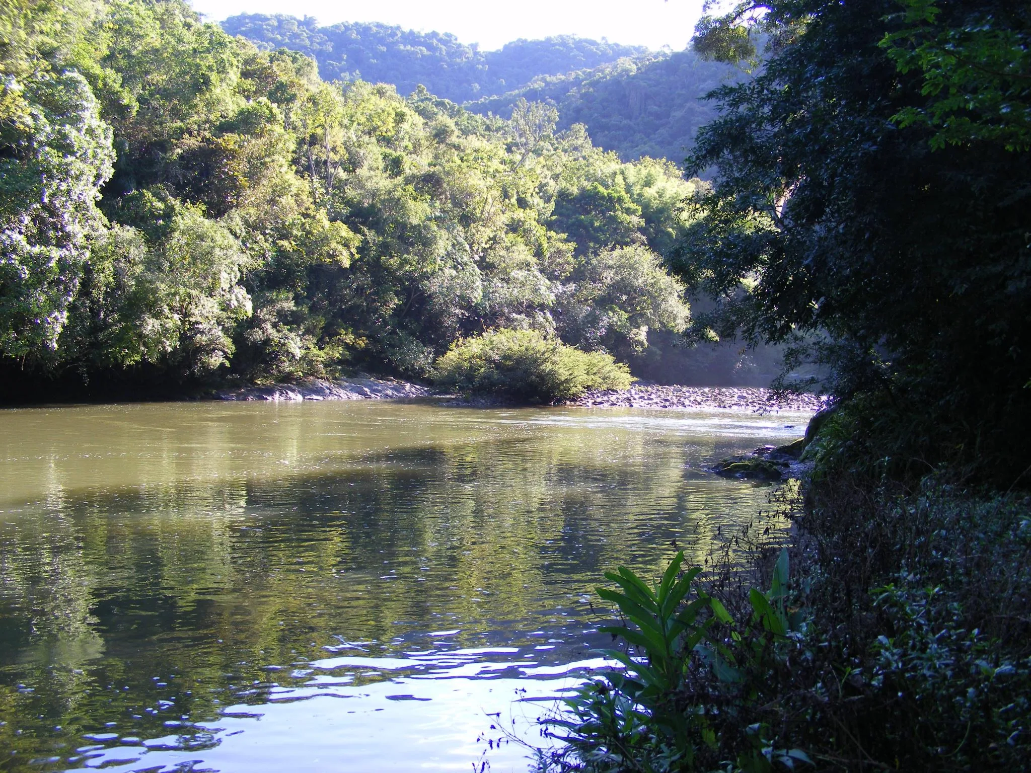 Parque Nacional da Serra do Itajaí. Foto: Cintia Gizele Gruener