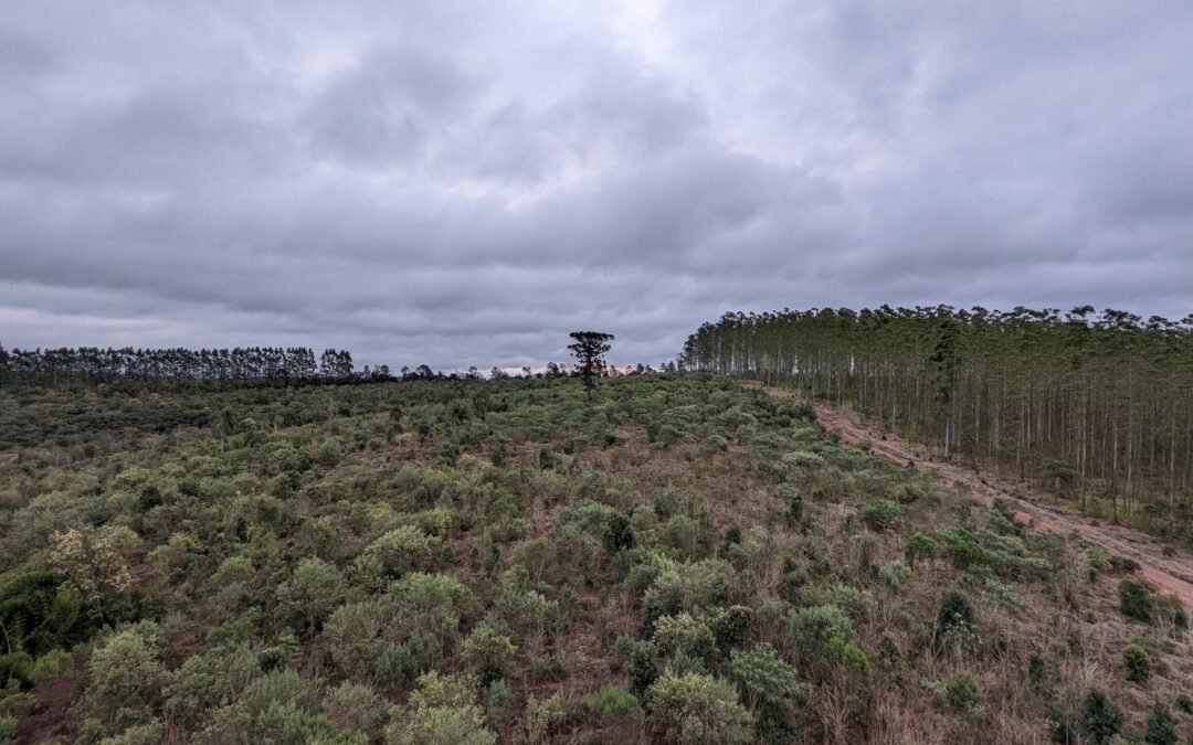 RPPN Samuel Klabin, um projeto coletivo