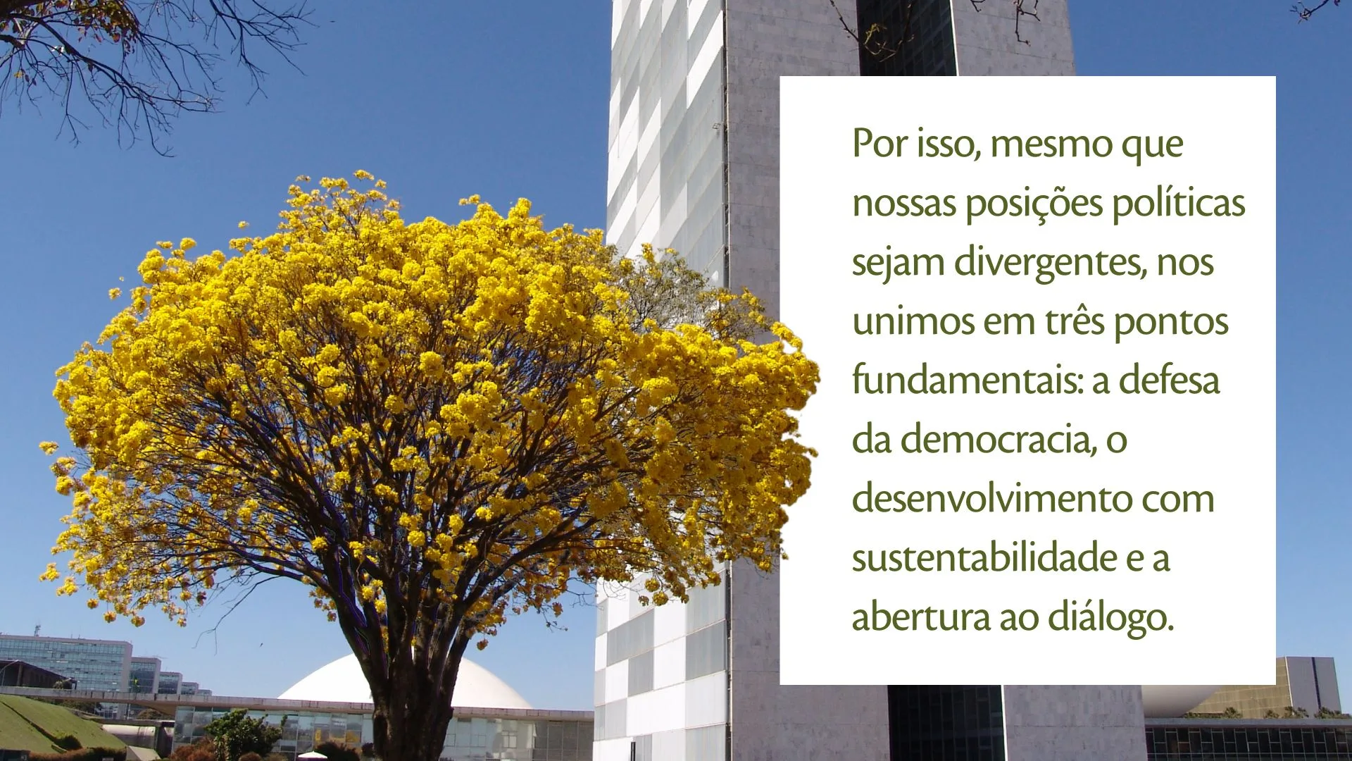 Depoimento