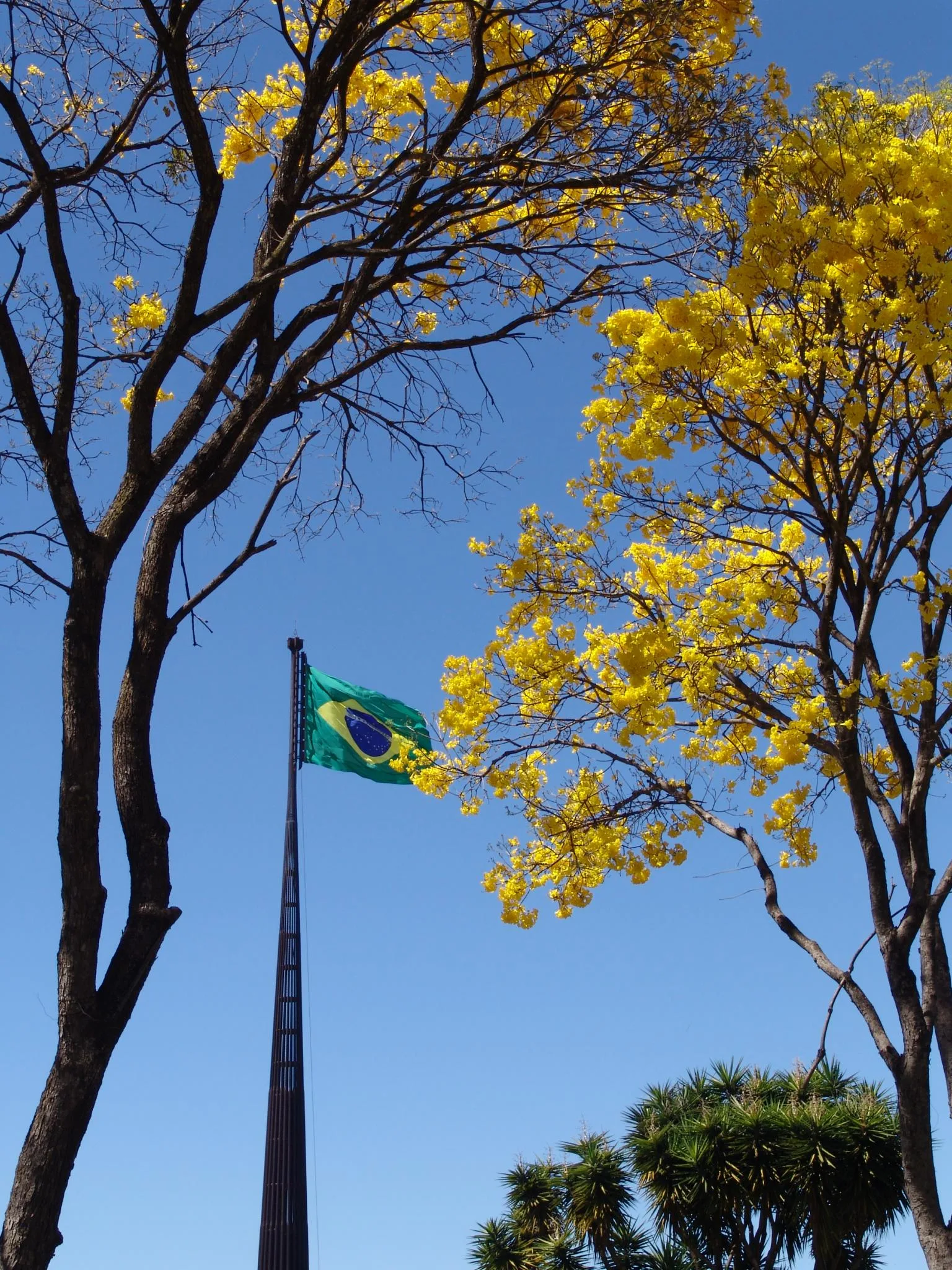 Eleições 2022