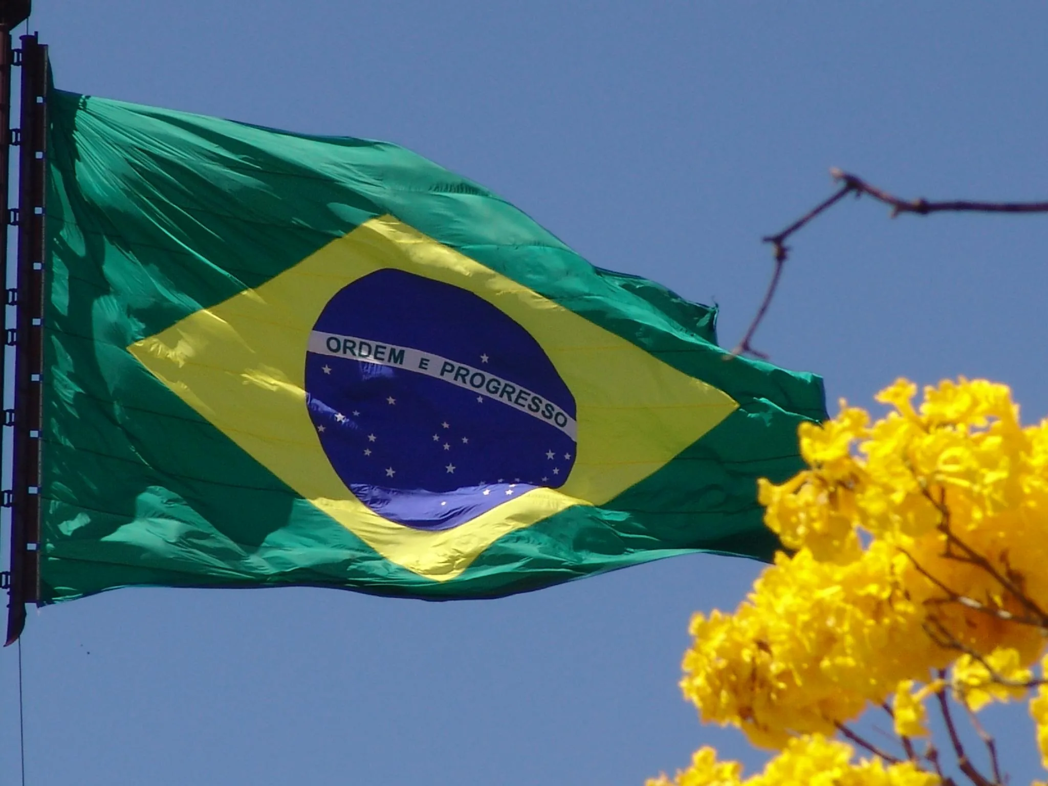 Bandeira do Brasil