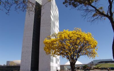 Documento reúne prioridades ambientais para candidatos às eleições de 2026