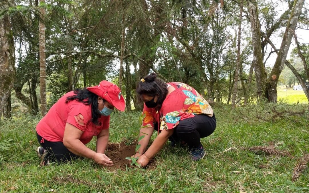 Celebramos as educadoras e defensoras da agrobiodiversidade